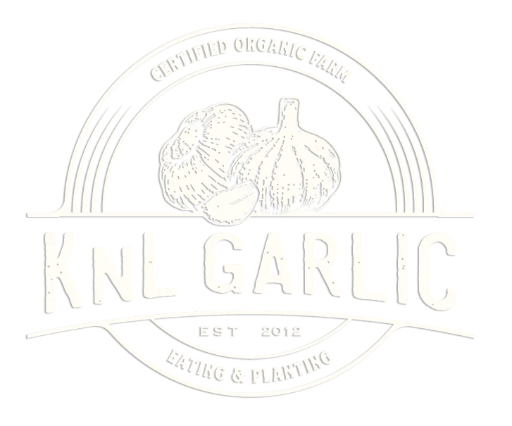 Best Organic Garlic